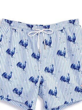 Southern Saint. Men's Light Blue Striped Swim Trunks with Rooster Print size Sm